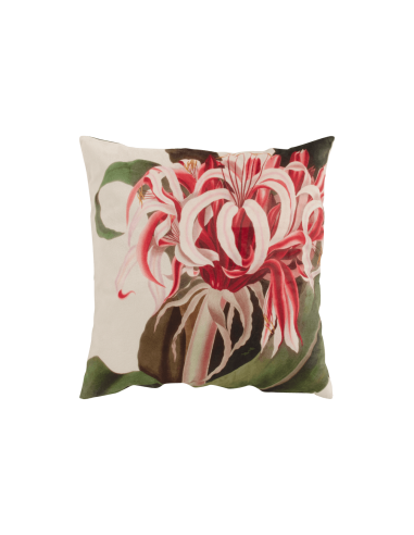 Hartman ® FLOWER PINK Cojín decorativo terciopelo estampado con motivo floral (45 x 45 x 16 cm)