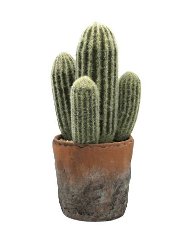 Cactus realista en maceta de terracota 31 cm. Essentials®