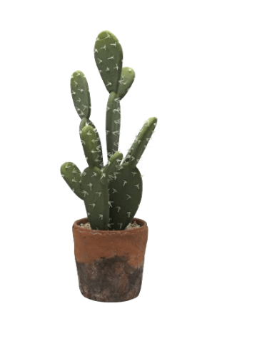 Cactus realista en maceta de terracota 46 cm. Essentials®