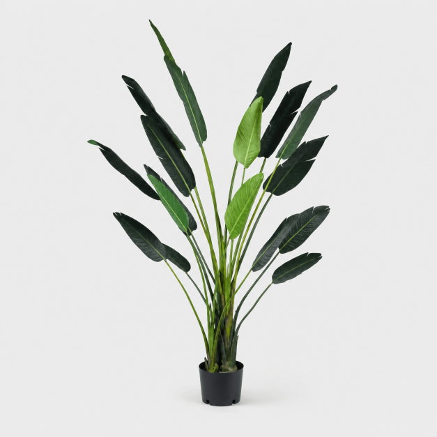 Planta AVE DEL PARAÍSO- Planta Artificial Realista-...