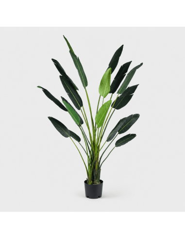Planta AVE DEL PARAÍSO- Planta...